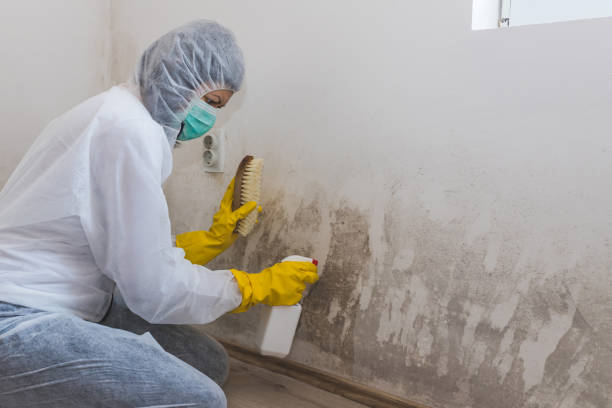 Best Industrial Mold Remediation  in Milroy, PA