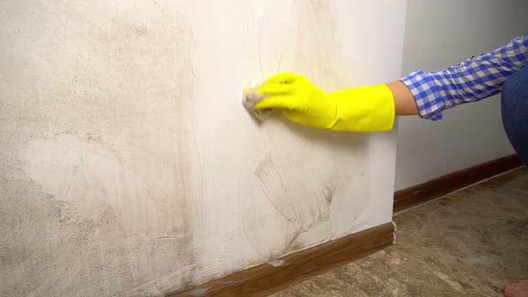 Best Basement Mold Removal  in Milroy, PA